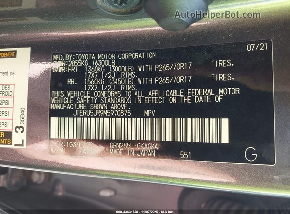 JTERU5JR9M5970875 2021 TOYOTA 4RUNNER Gray Widok komory silnika