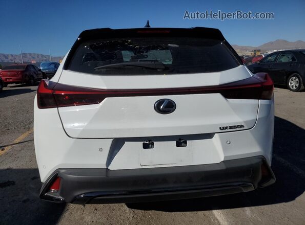JTHB6JBH6P2150773 2023 LEXUS UX Белый Вид сзади