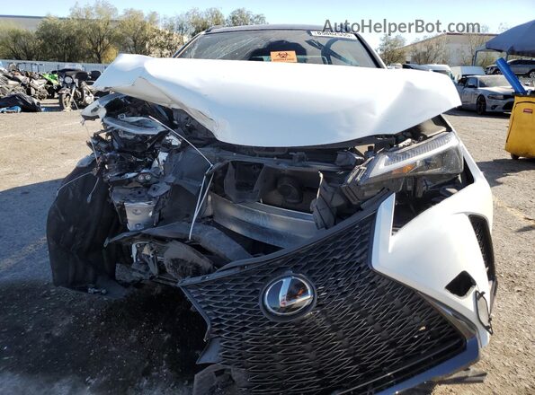JTHB6JBH6P2150773 2023 LEXUS UX Белый Вид спереди