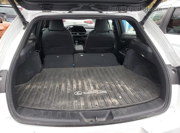 JTHB9JBH8P2068891 2023 LEXUS UX White Rear view
