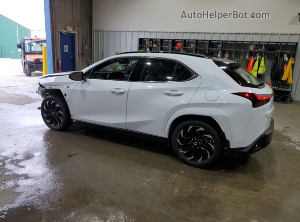 JTHB9JBH8P2068891 2023 LEXUS UX White Rear left
