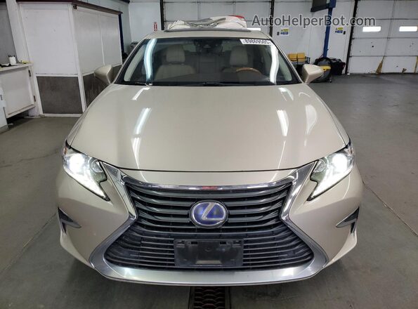 JTHBW1GG4G2118064 2016 LEXUS ES Золотой Вид спереди