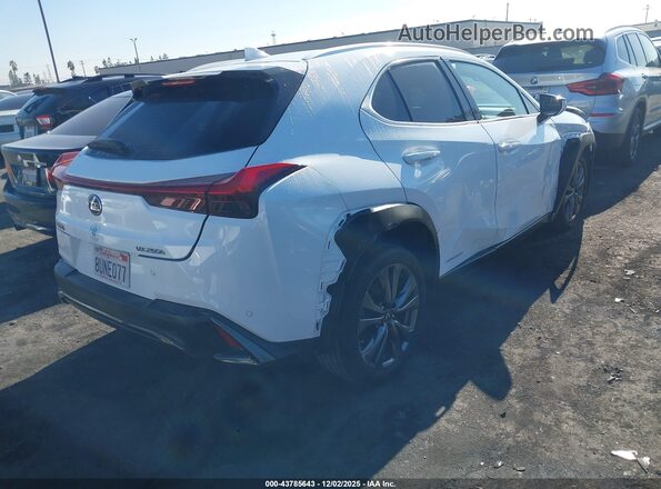 JTHE9JBH6M2040029 2021 LEXUS UX 250H White უკანა მარჯვენა