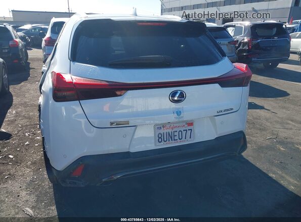 JTHE9JBH6M2040029 2021 LEXUS UX 250H White 