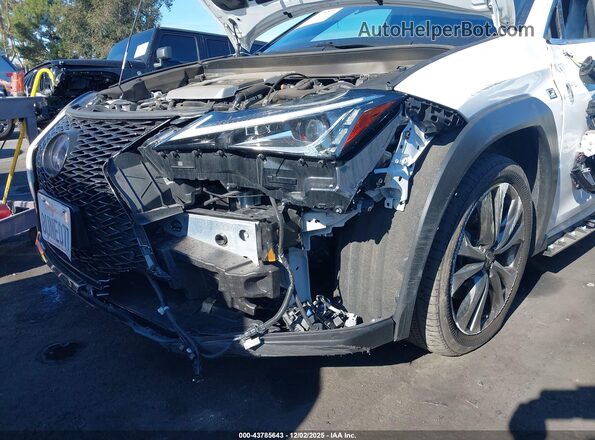 JTHE9JBH6M2040029 2021 LEXUS UX 250H White 