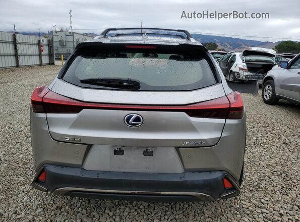 JTHE9JBH9M2043961 2021 LEXUS UX Бежевый Вид сзади