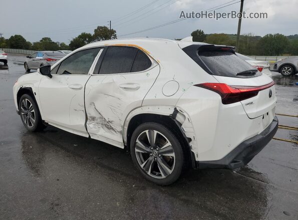 JTHP3JBH3N2050559 2022 LEXUS UX White უკანა მარცხენა