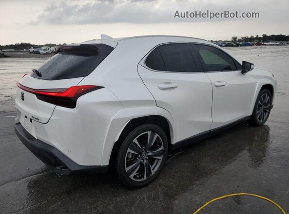 JTHP3JBH3N2050559 2022 LEXUS UX White უკანა მარჯვენა