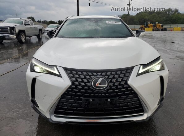 JTHP3JBH3N2050559 2022 LEXUS UX White წინა ხედი