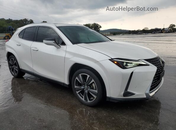 JTHP3JBH3N2050559 2022 LEXUS UX White წინა მარჯვენა