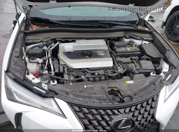 JTHP3JBH7M2037716 2021 LEXUS UX 200 White Հետևի տեսք