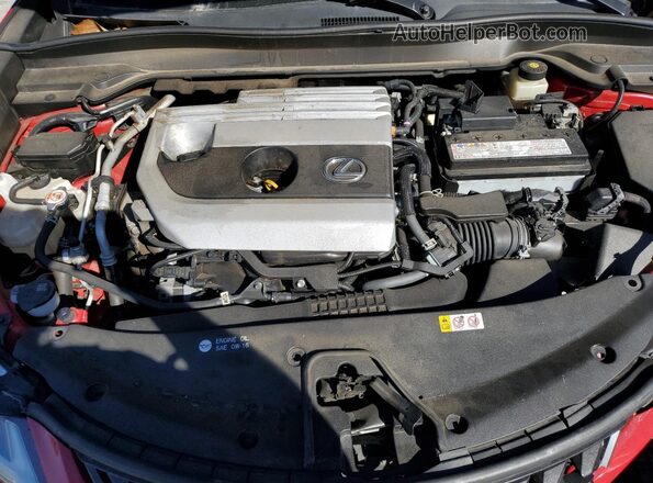 JTHP3JBH8M2041905 2021 LEXUS UX Red Вид задньої частини салону