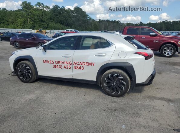 JTHP3JBH9L2026473 2020 LEXUS UX White Задня ліва чверть