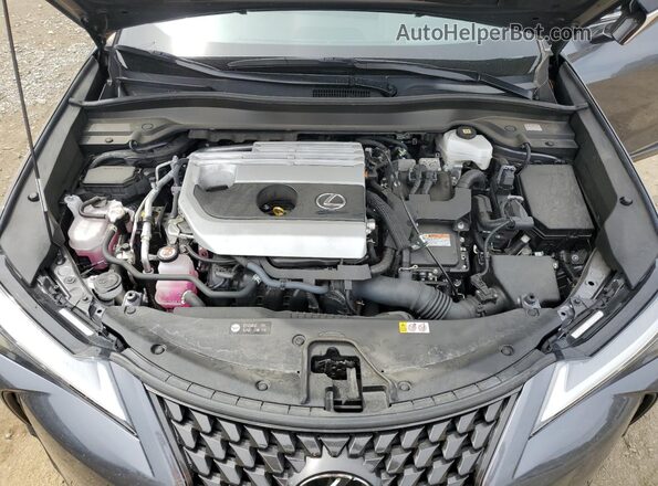 JTHP6JBH2P2144152 2023 LEXUS UX Gray Շարժիչի բաժամունքի տեսք