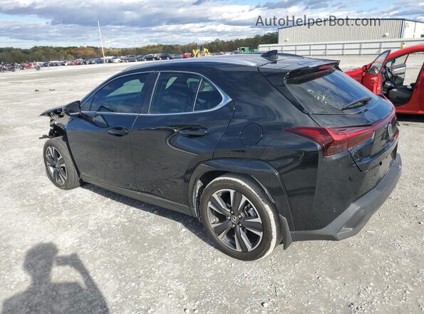 JTHP6JBH6R2189856 2024 LEXUS UX Black Задня ліва чверть