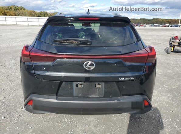 JTHP6JBH6R2189856 2024 LEXUS UX Black Вид ззаду