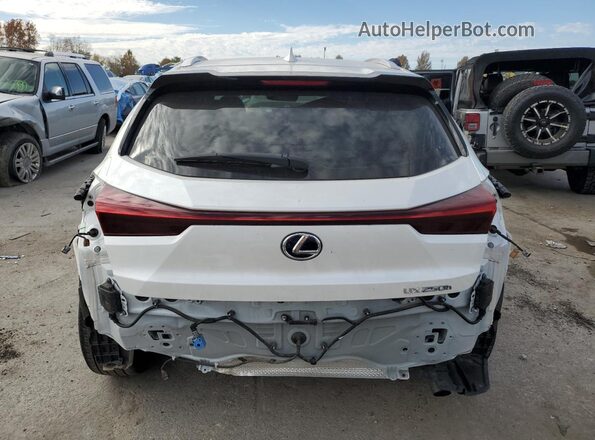 JTHP9JBH0L2035612 2020 LEXUS UX White Vista trasera