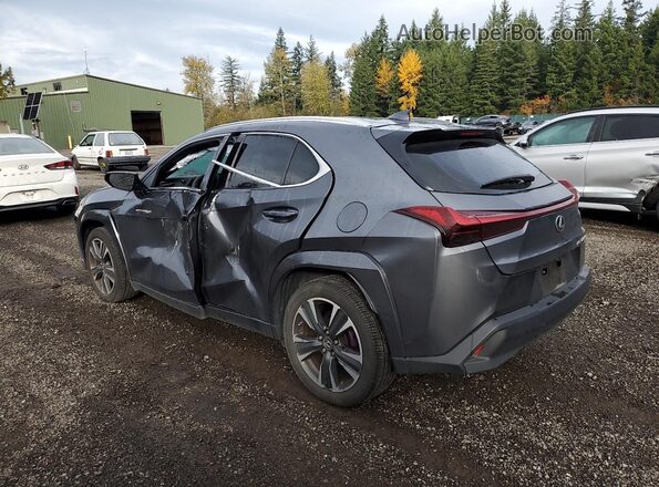 JTHP9JBH0R2077321 2024 LEXUS UX Gray Հետևի ձախ