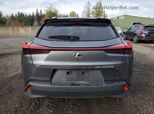 JTHP9JBH0R2077321 2024 LEXUS UX Gray Հետևի տեսք