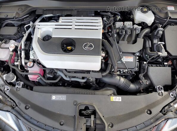 JTHP9JBH0R2077321 2024 LEXUS UX Gray Շարժիչի բաժամունքի տեսք