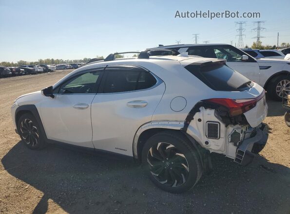 JTHP9JBH1L2021394 2020 LEXUS UX White Задня ліва чверть