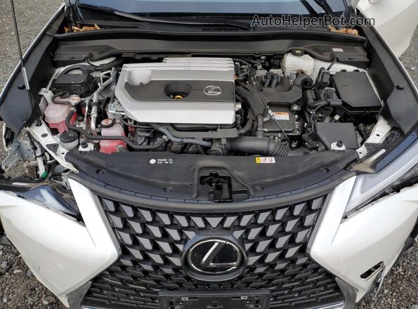 JTHP9JBH2R2074579 2024 LEXUS UX White Շարժիչի բաժամունքի տեսք