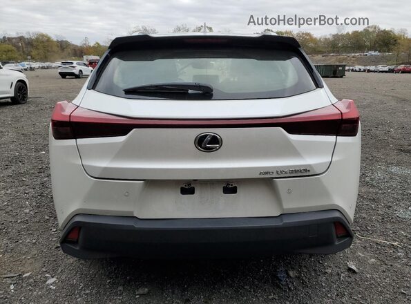 JTHP9JBH2R2074579 2024 LEXUS UX White Հետևի տեսք