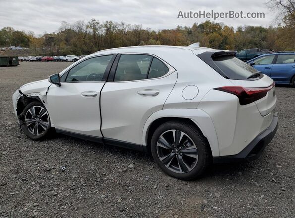 JTHP9JBH2R2074579 2024 LEXUS UX White Հետևի ձախ