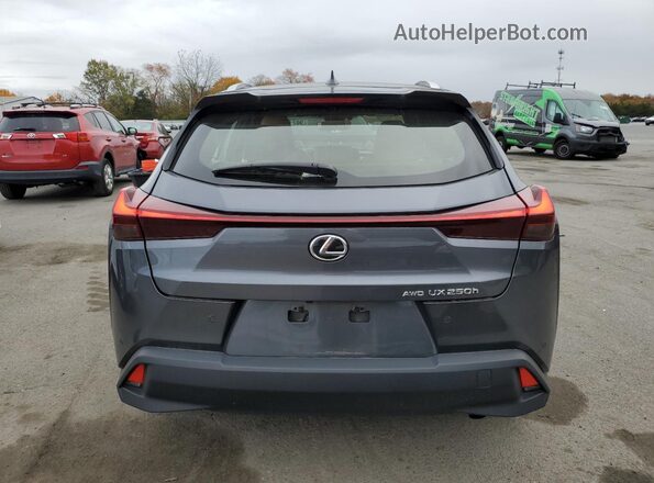 JTHP9JBH2R2077546 2024 LEXUS UX Gray Հետևի տեսք