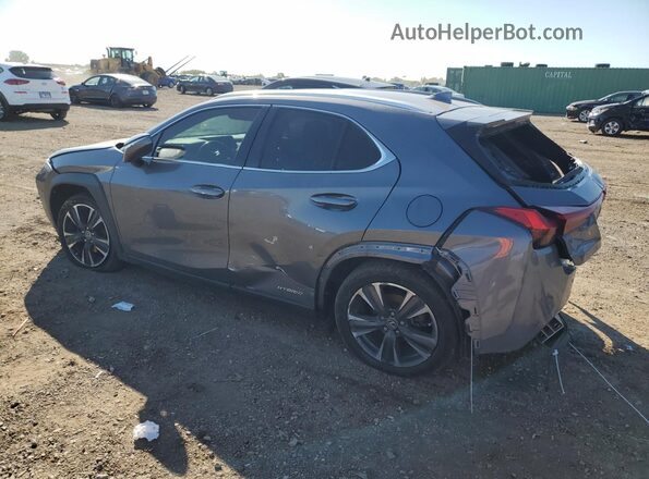 JTHP9JBH3L2027603 2020 LEXUS UX Серый Задняя левая четверть