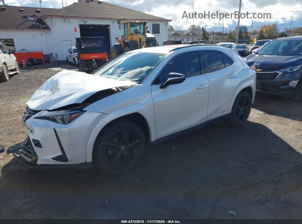 JTHP9JBH3M2048727 2021 LEXUS UX 250H White Передня ліва чверть