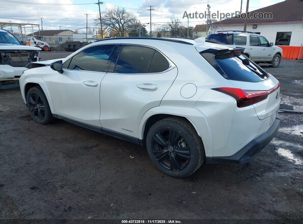 JTHP9JBH3M2048727 2021 LEXUS UX 250H White Задня ліва чверть