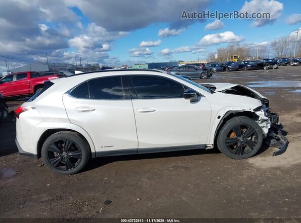 JTHP9JBH3M2048727 2021 LEXUS UX 250H White Вид щитка приладів