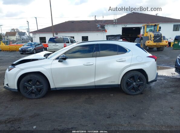JTHP9JBH3M2048727 2021 LEXUS UX 250H White Вид задньої частини салону