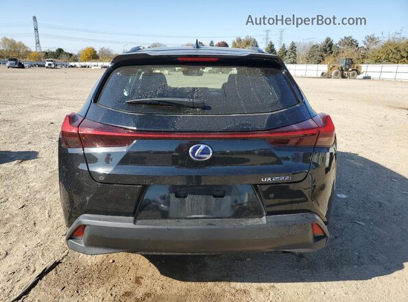 JTHP9JBH4M2047344 2021 LEXUS UX Black Rear view