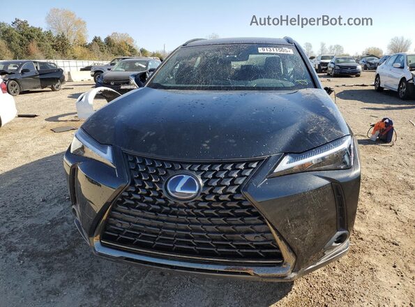 JTHP9JBH4M2047344 2021 LEXUS UX Black Front view