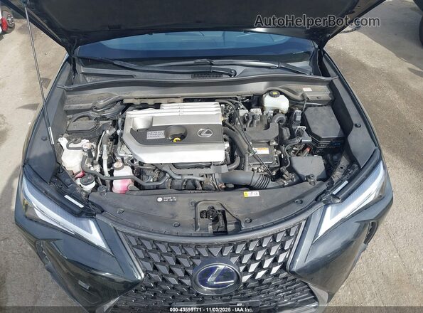 JTHP9JBH5L2024508 2020 LEXUS UX 250H Black Вид ззаду