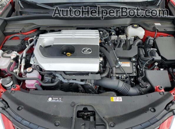 JTHP9JBH5R2073314 2024 LEXUS UX Red Սալոնի հետևի տեսք