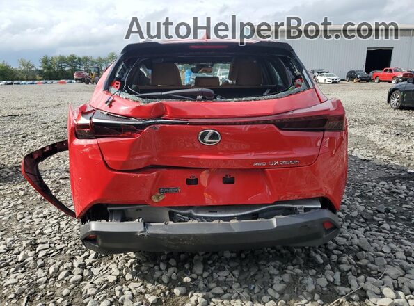 JTHP9JBH5R2073314 2024 LEXUS UX Red Հետևի տեսք