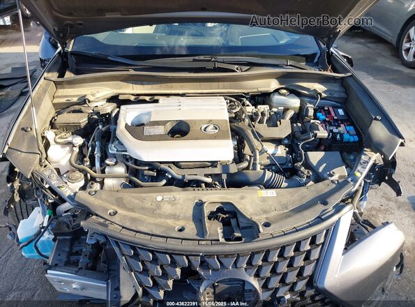 JTHP9JBH7M2044065 2021 LEXUS UX 250H Gray Вид ззаду