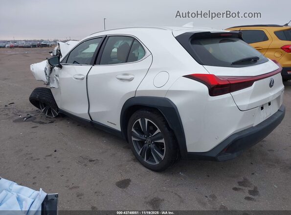 JTHP9JBH9L2036256 2020 LEXUS UX 250H Белый Задняя левая четверть