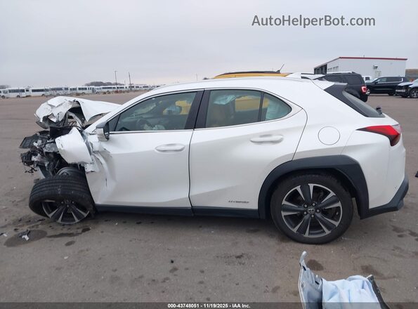 JTHP9JBH9L2036256 2020 LEXUS UX 250H Белый Панорамный вид салона 360°