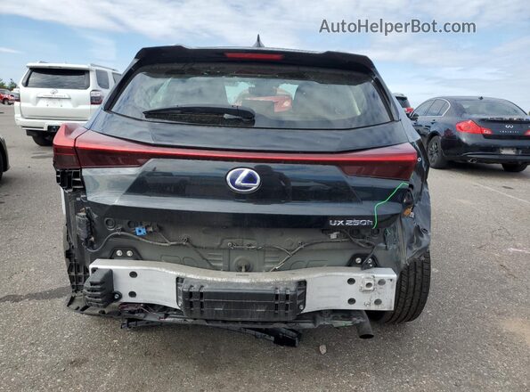 JTHP9JBH9M2038302 2021 LEXUS UX Black Вид ззаду
