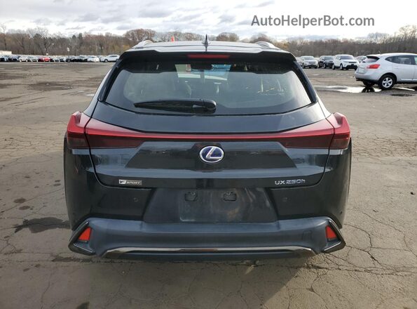 JTHR9JBH0M2051156 2021 LEXUS UX Black Вид ззаду