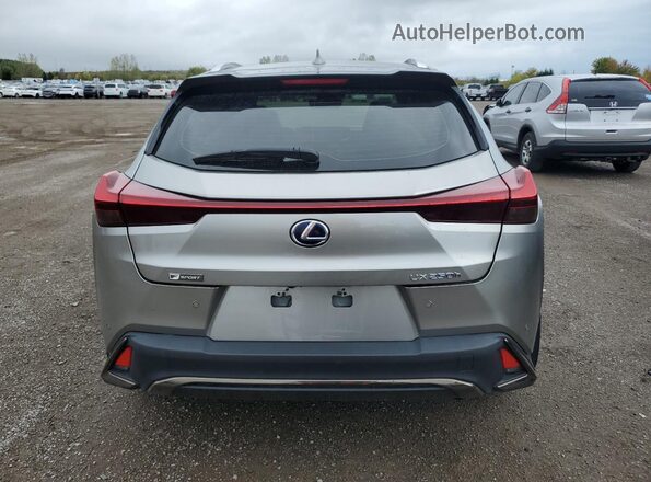 JTHR9JBH5M2041383 2021 LEXUS UX Silver Вид ззаду