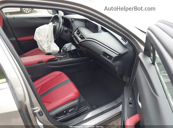 JTHR9JBH6M2049993 2021 LEXUS UX 250H Gray Սալոնի դիմացի տեսք