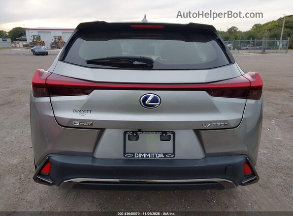 JTHR9JBH6M2049993 2021 LEXUS UX 250H Gray 