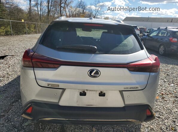 JTHU9JBH1K2000398 2019 LEXUS UX Silver Vista trasera
