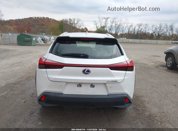 JTHU9JBH5K2013980 2019 LEXUS UX 250H White 