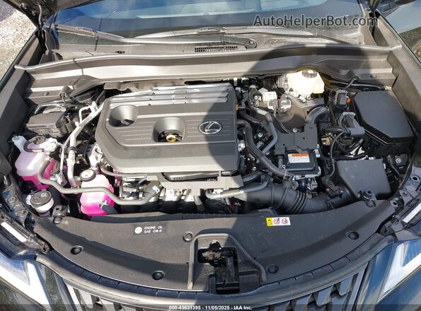 JTHUCJDH1S2011481 2025 LEXUS UX 300H Black Vista trasera